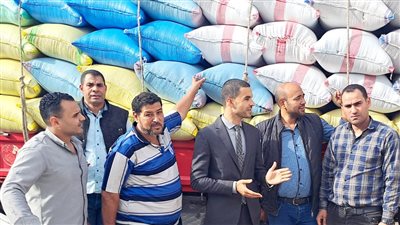 تحرير 1500 إنذار بحق مزارعين لامتناعهم عن توريد الأرز بالبحيرة