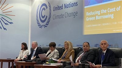 وزير المالية: التمويلات الخضراء الميسرة المتاحة حاليًا لا تلبي الاحتياجات التنموية الكبيرة للدول الإفريقية