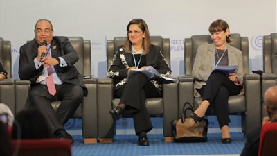 محيي الدين: المشروعات الخضراء الذكية ساهمت في توطين الاستثمار بمحافظات مصر