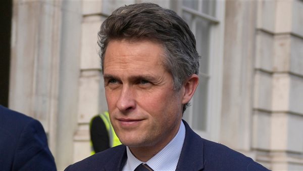  جافين ويليامسون