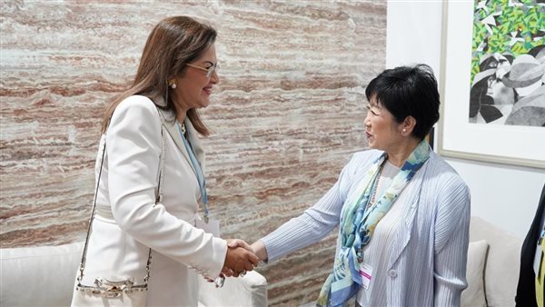 وزيرة التخطيط تلتقي