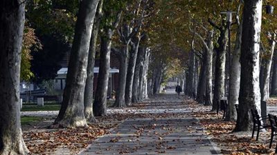 موعد بداية فصل الخريف 2025 ونهاية الصيف رسميًا في مصر والدول العربية