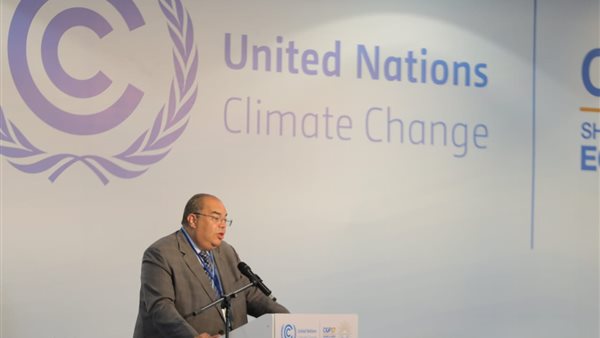 الدكتور محمود محيي