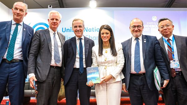  شركاء التنمية ومؤسسات