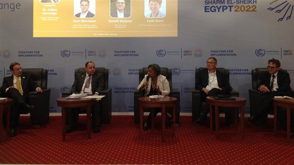 وزير المالية