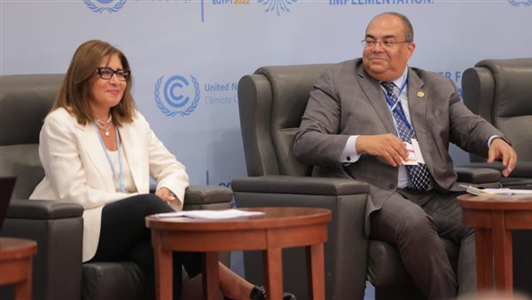 الدكتور محمود محيي