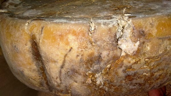 ضبط مواد غذائية ومنتهيه