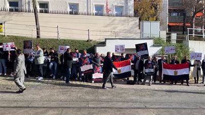 مصر حرة.. وقفات لدعم الدولة المصرية من المصريين في فيينا | فيديو