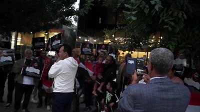 احتجاجات مصرية بالعاصمة اليونانية دعما للرئيس السيسي والدولة المصرية