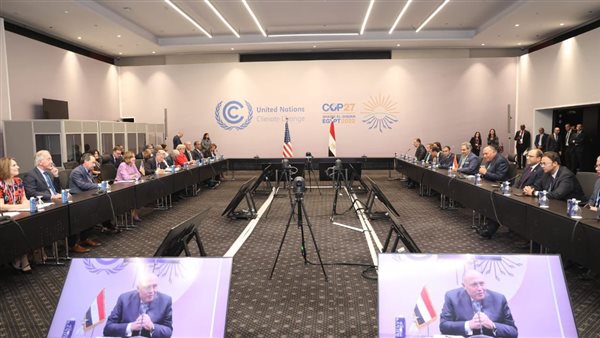 سامح شكري وزير الخارجية