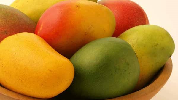 فوائد المانجو