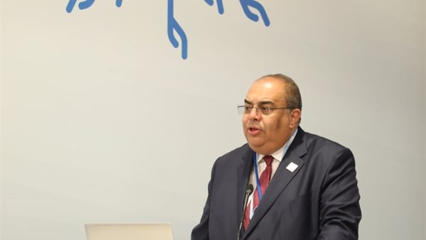 محمود محيي الدين