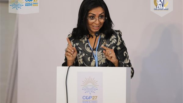 رئيس المجلس القومى