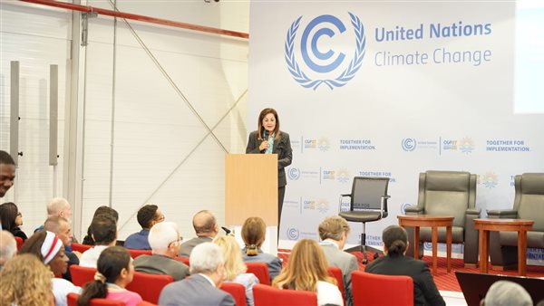 وزيرة التخطيط والتنمية