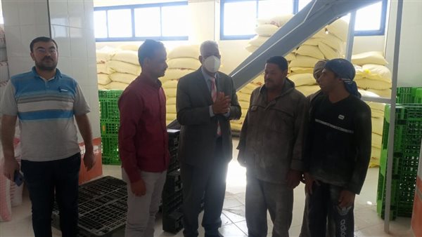 القوى العاملة بأسيوط