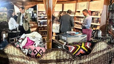 على هامش COP27.. الآثار تنظم جولة لأعضاء لجنة السياحة والاستدامة داخل المنطقة الخضراء | صور 