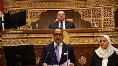 اقتصادية الشيوخ تقترح منح الحكومة مهلة لتفعيل الحوافز بقانون الاستثمار