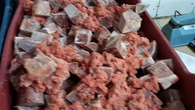 ضبط مواد غذائية منتهية الصلاحية و80 كيلو لحوم مجمدة غير صالحة للاستهلاك بالغربية 