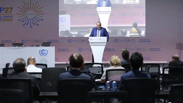  الدكتور محمود محيي