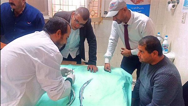 لجنة المشكلة 