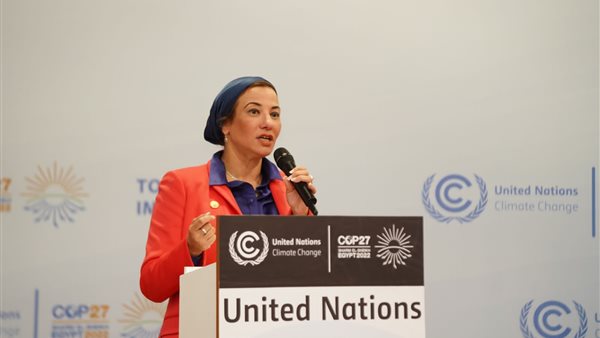 ياسمين فؤاد وزيرة