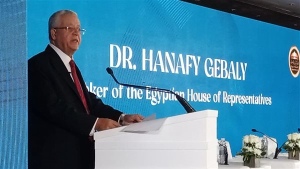  المستشار الدكتور