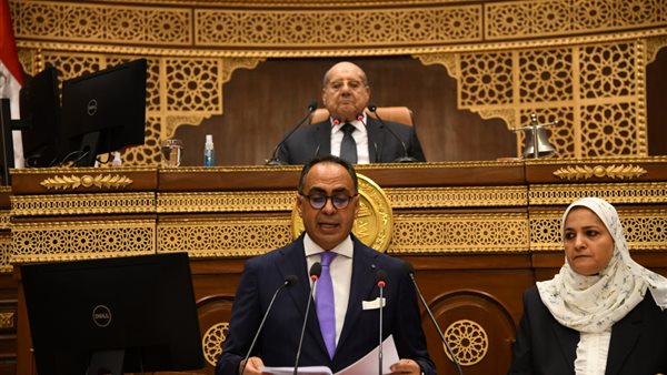  هاني سرى الدين رئيس