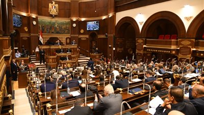  رئيس برلمانية مستقبل وطن: نتحفظ على التصالح في الجراجات بمشروع مخالفات البناء