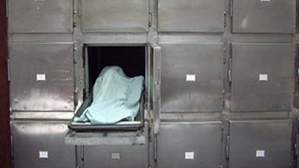 جمثان - أرشيفية 