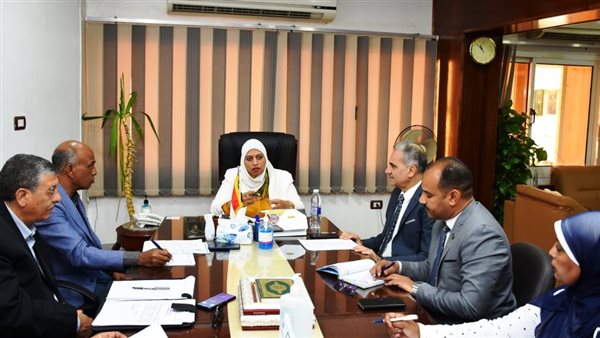 نائبة محافظ أسوان