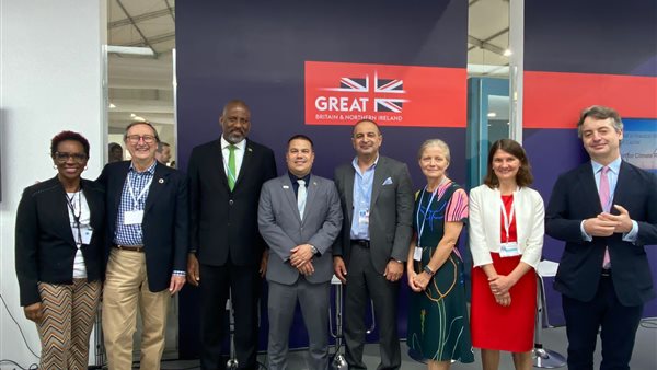 نائب وزيرة التخطيط