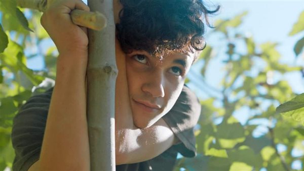 فيلم تحت الشجرة