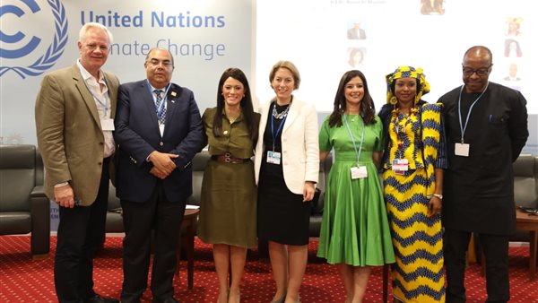 محمود محيي الدين