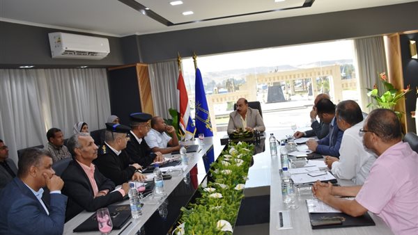 محافظ أسوان