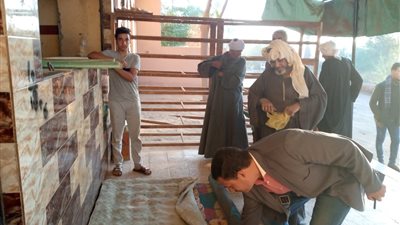 محافظ أسيوط: ضبط كمية من الأسمدة الزراعية المحظور تداولها بالأسواق وتحرير 27 محضرًا خلال حملة تموينية