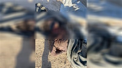 التحقيق في العثور على ذراعين وساقين بقايا أشلاء جثة بالمرج
