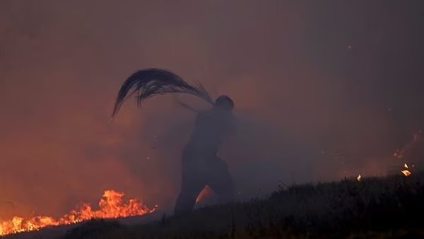 حرائق الغابات 