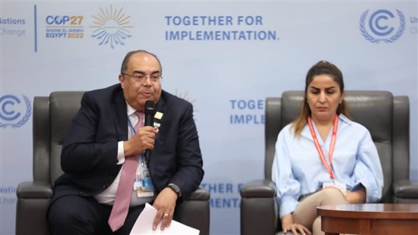 الدكتور محمود محي