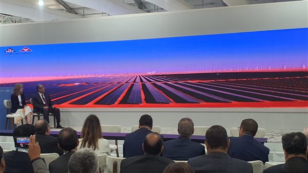 وزير الكهرباء