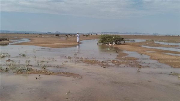 أمطار حلايب وشلاتين