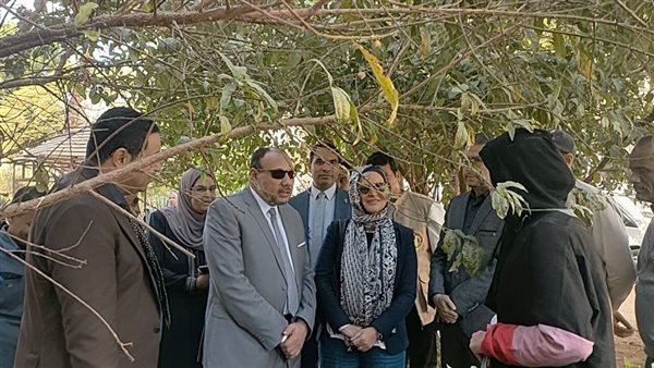 المدير التنفيذي لبيت