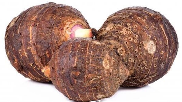 ما هي طريقة عمل القلقاس