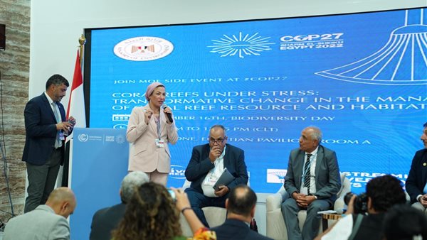 وزيرة البيئة 