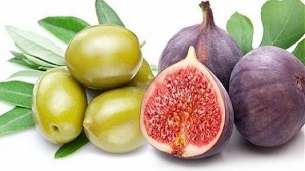 التين والزيتون