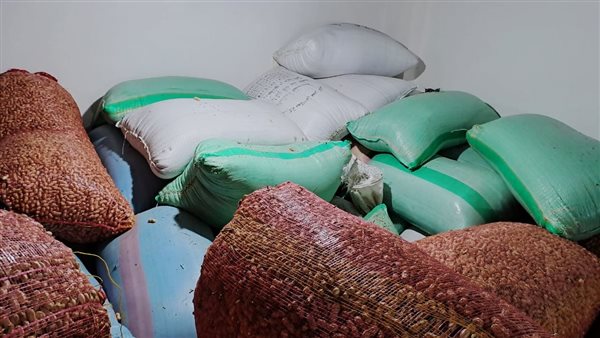 ضبط أرز شعير قبل