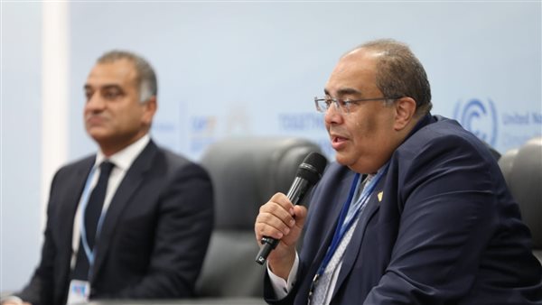 محمود محي الدين 