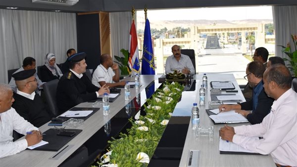 محافظ أسوان