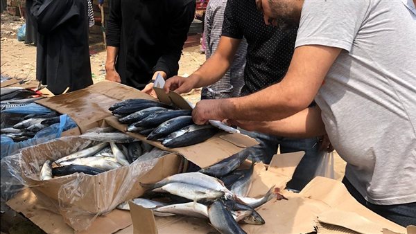 جانب من الحملات