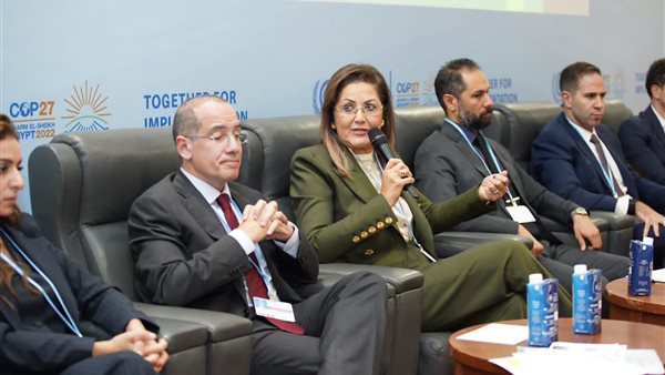 وزيرة التخطيط والتنمية