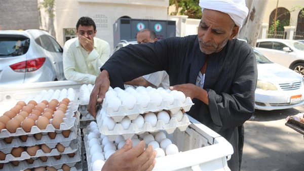 أسعار البيض